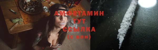 сатива Россошь