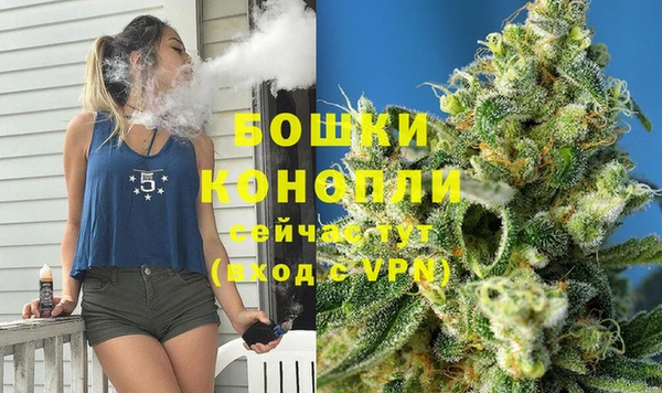 сатива Россошь