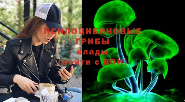 сатива Россошь