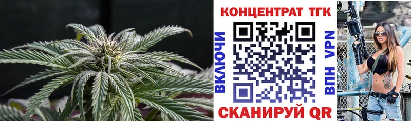 ТГК концентрат  где найти   Инза 