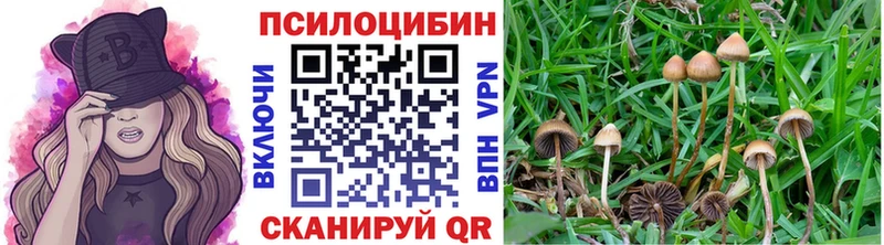 mega как зайти Инза Псилоцибиновые грибы MAGIC MUSHROOMS